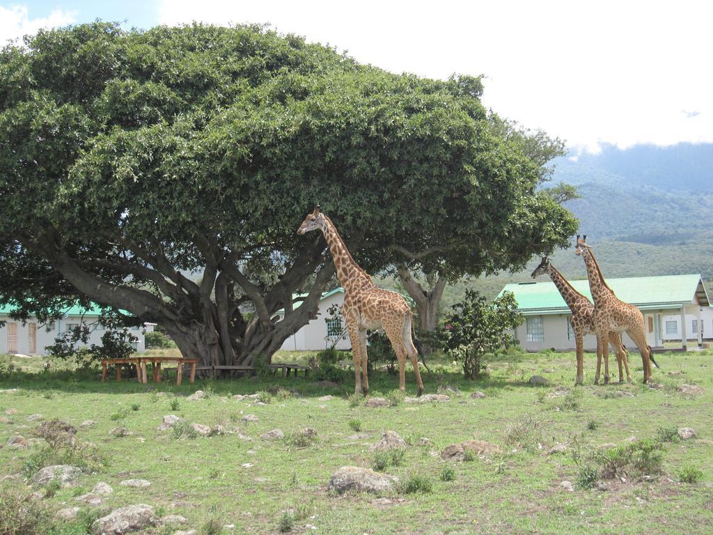 Nature Homes - Africa Amini Life Nkoanrua المظهر الخارجي الصورة